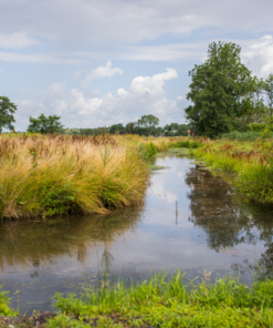 Vergunningsaanvraag Zwembad, bubbelbad of vijver aanleggen of vervangen