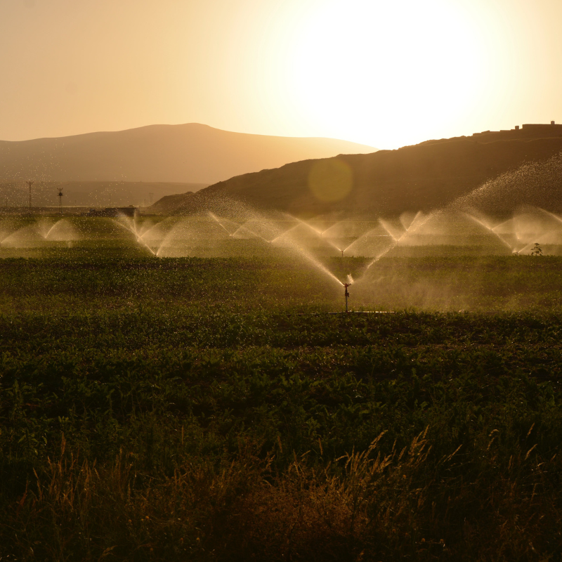Vergunningsaanvraag Water uit sloot, meer, rivier of kanaal halen