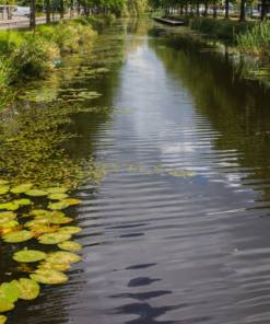 Vergunningsaanvraag Visvijver exploiteren