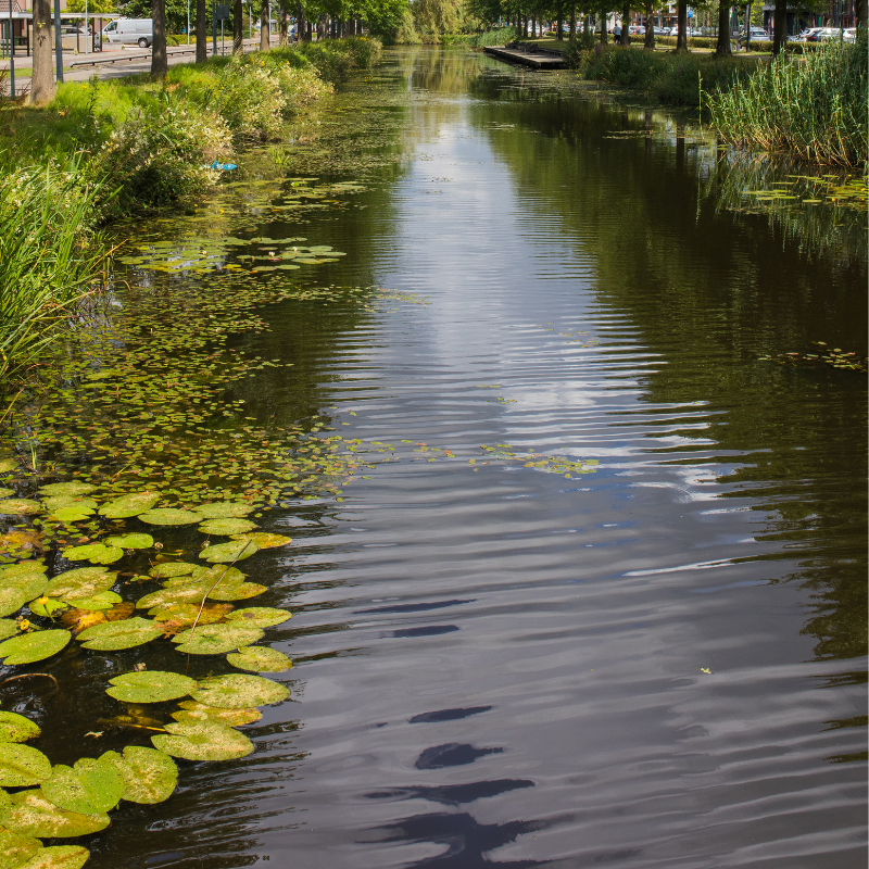 Vergunningsaanvraag Visvijver exploiteren