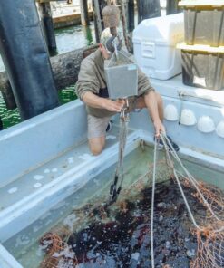 Vergunningsaanvraag Vis uitzetten of verplaatsen